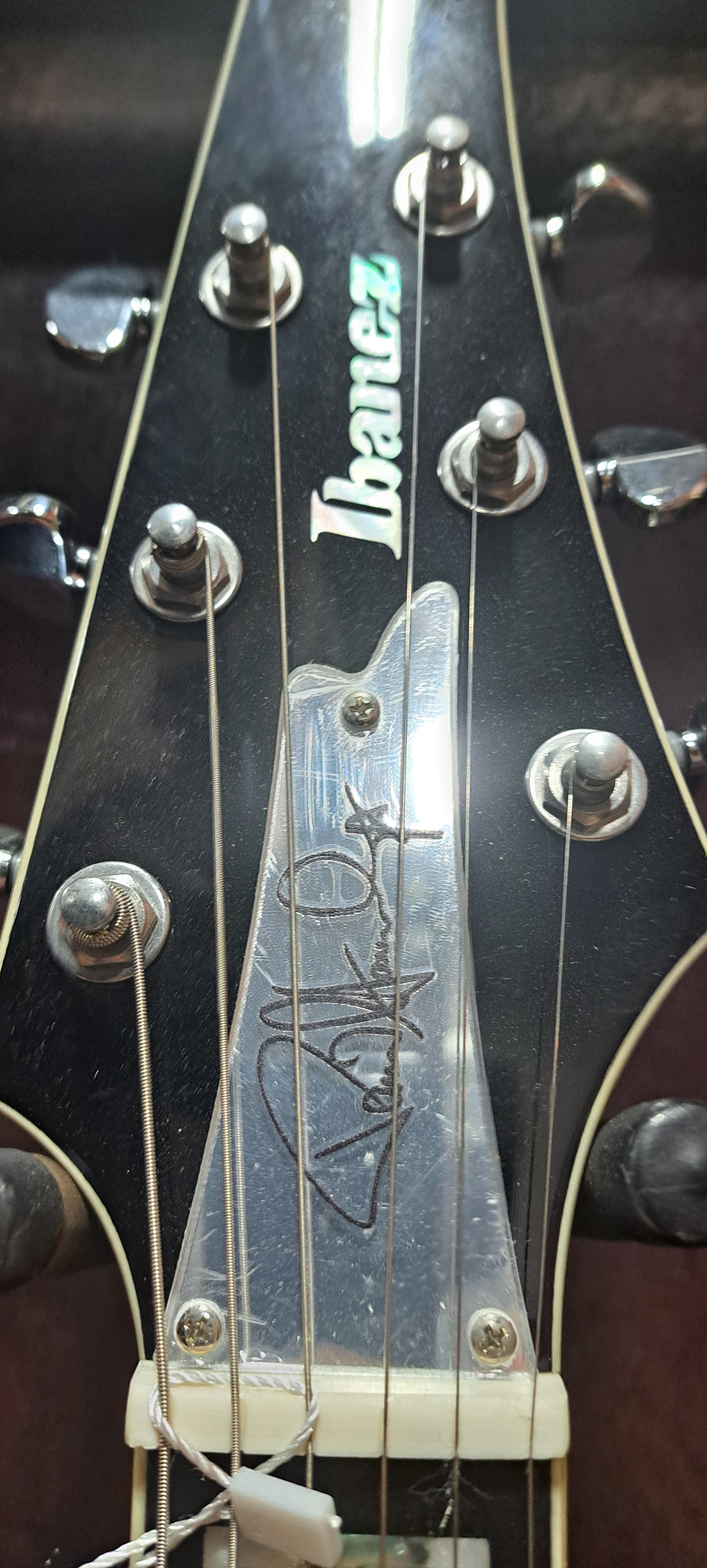 Paul Stanley Signature Ice Man