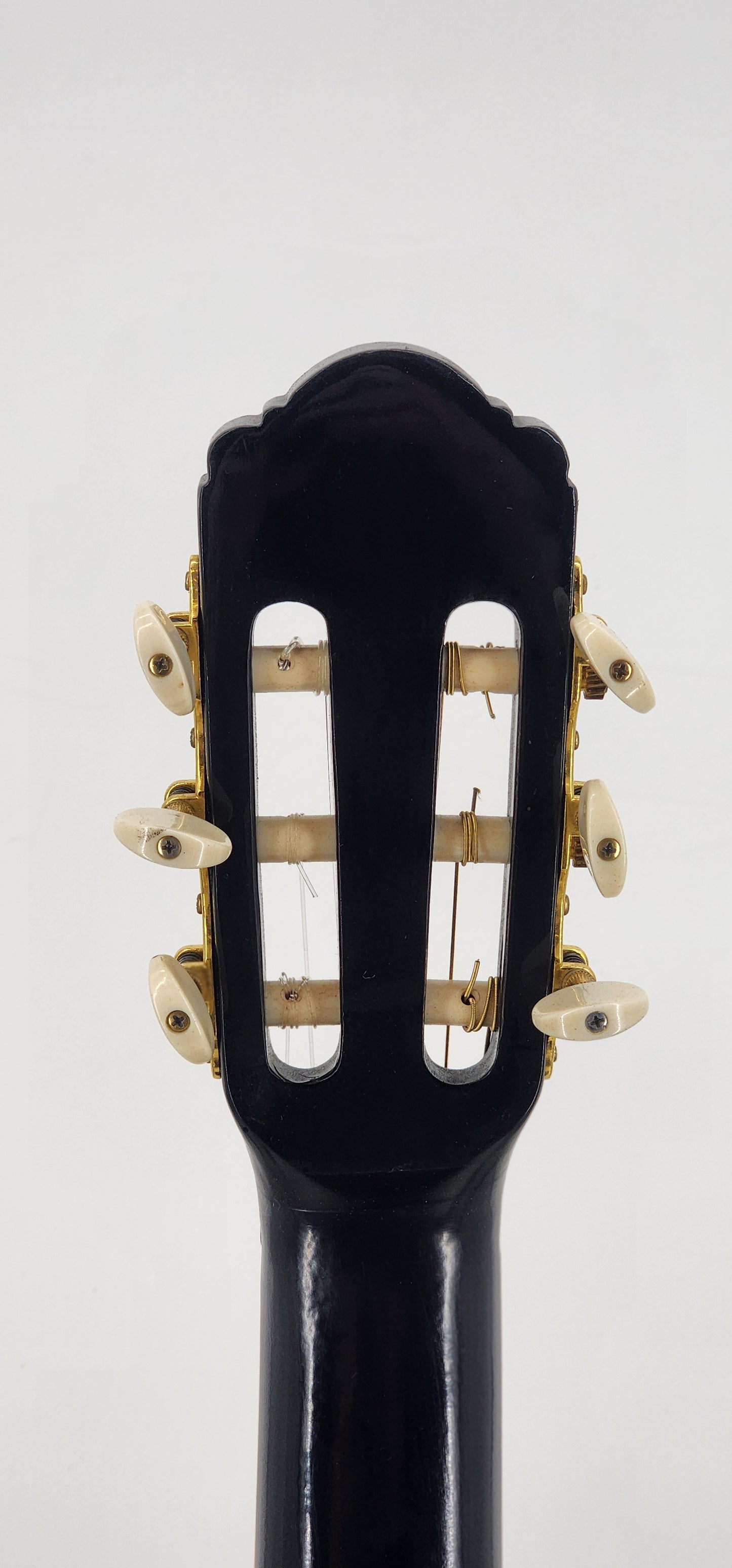 Esteban - 7th anniversary classical guitar - Black and Roses