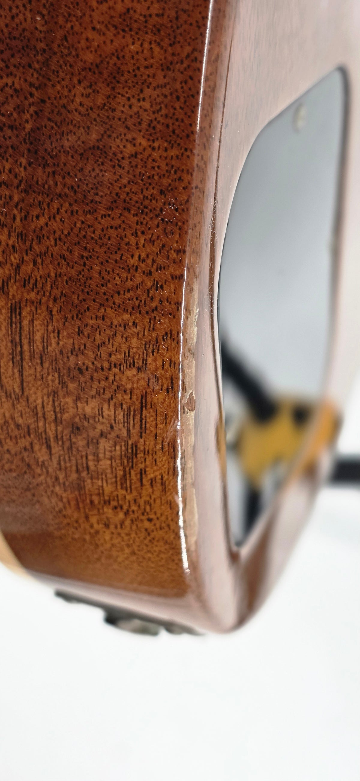 Gibson - LPB3 - Les Paul Bass - 2005 - Honeyburst