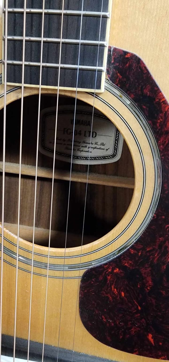 Yamaha Acoustic Guitar