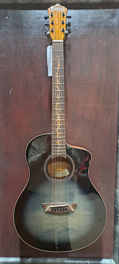 Washburn Acoustic BTS9V