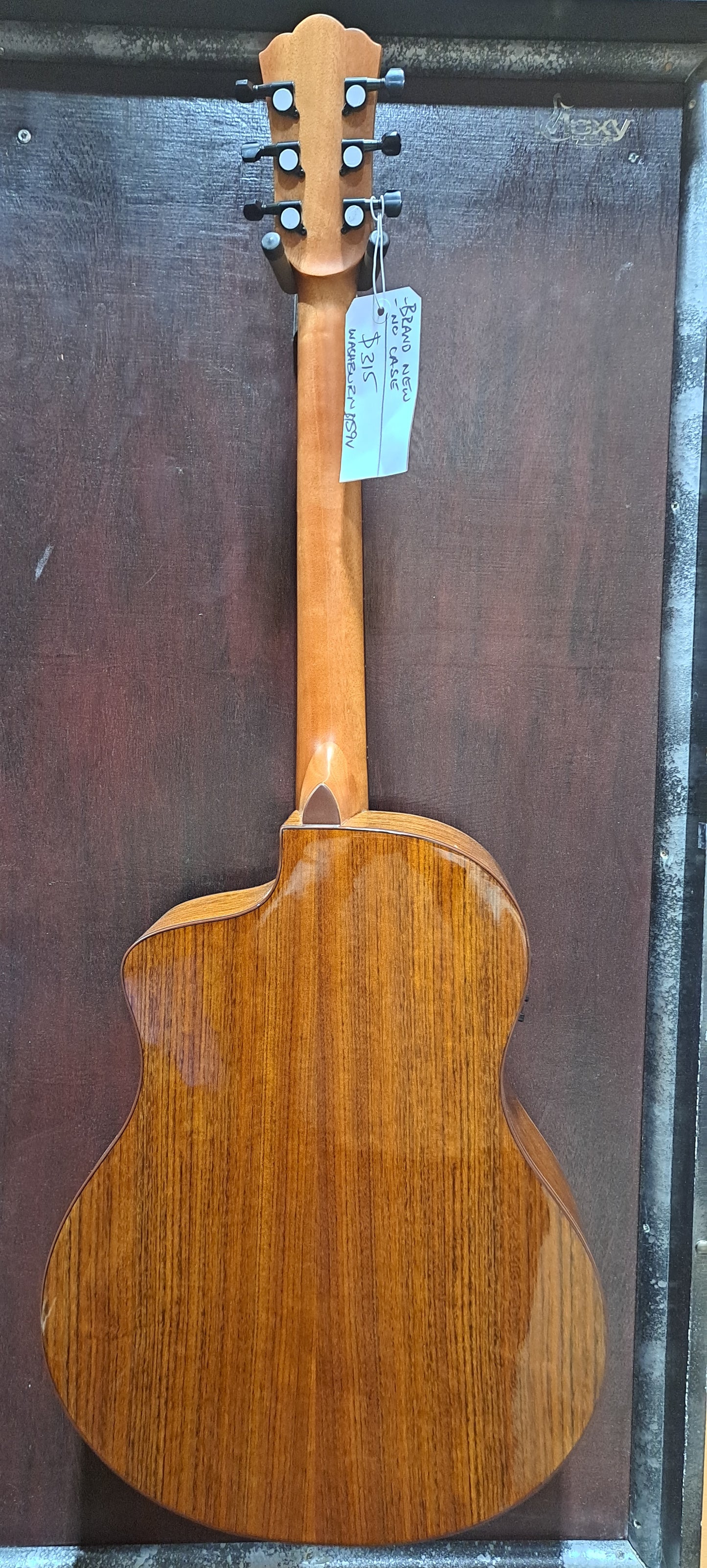 Washburn Acoustic BTS9V