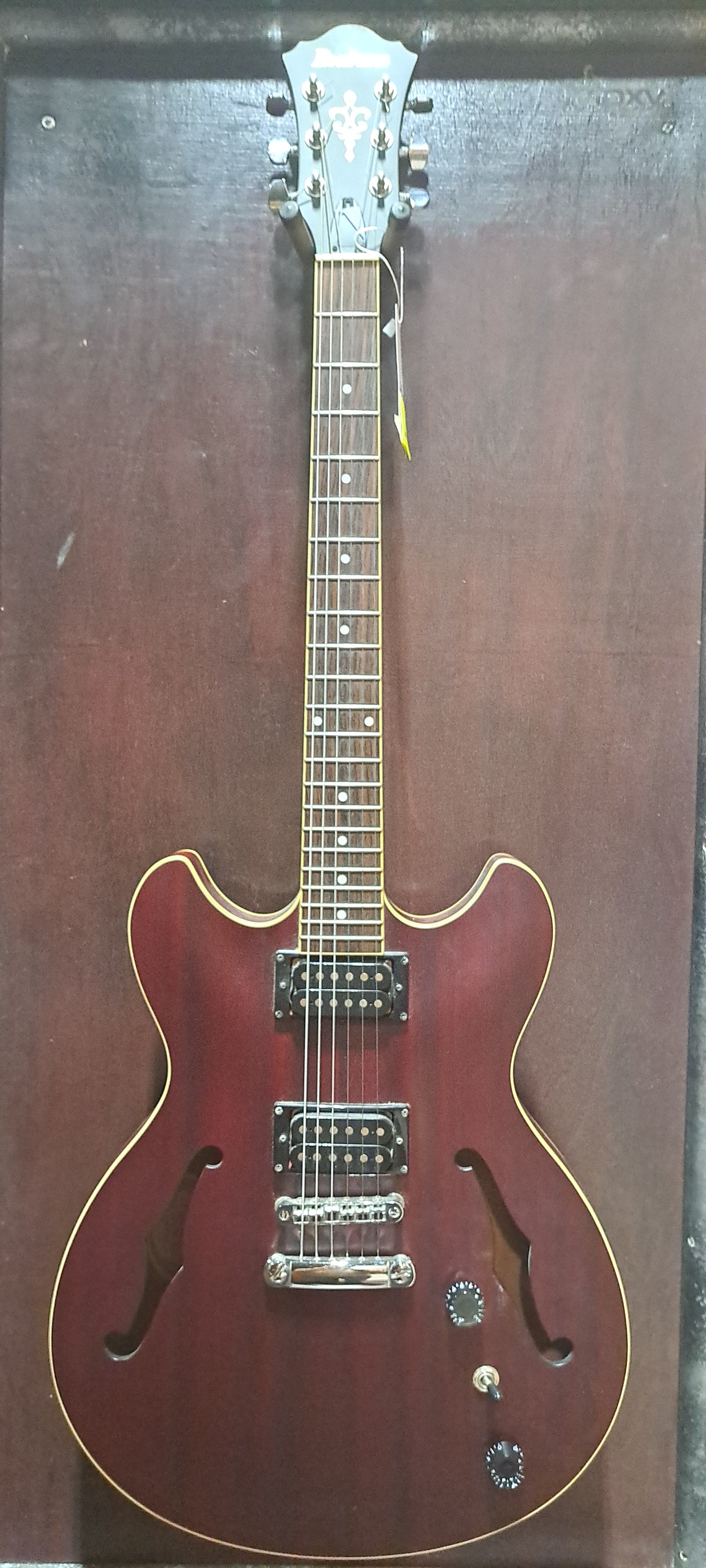 Ibanez Hollow Body