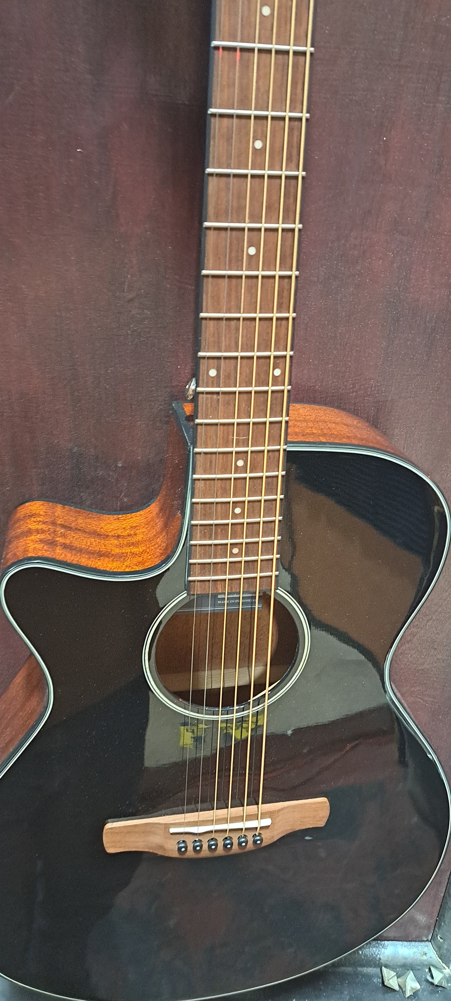 Ibanez Acoustic - Lefty