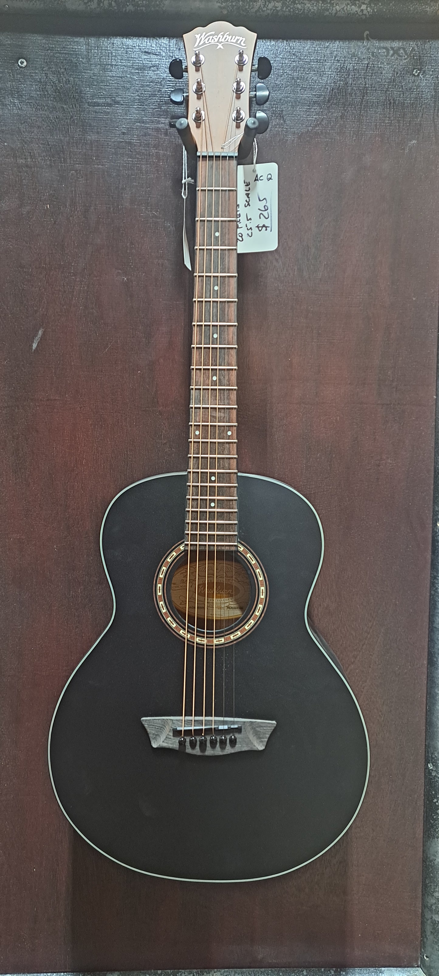 Washburn Nova 59 Bella