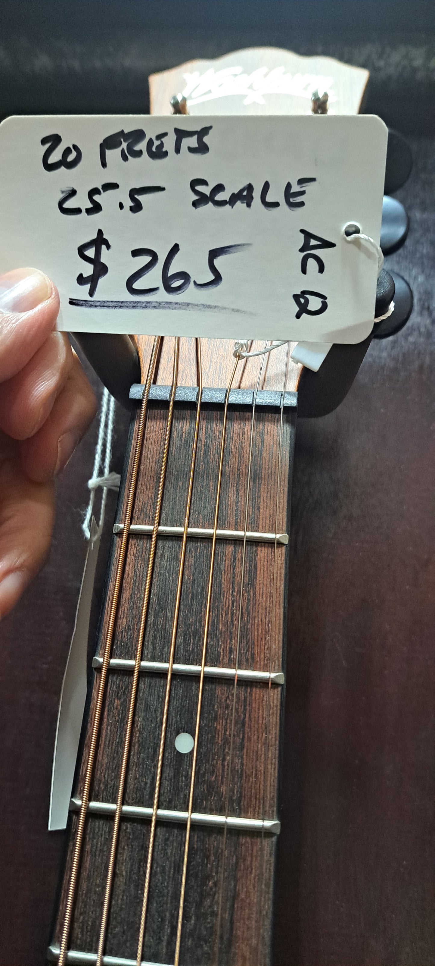 Washburn Nova 59 Bella