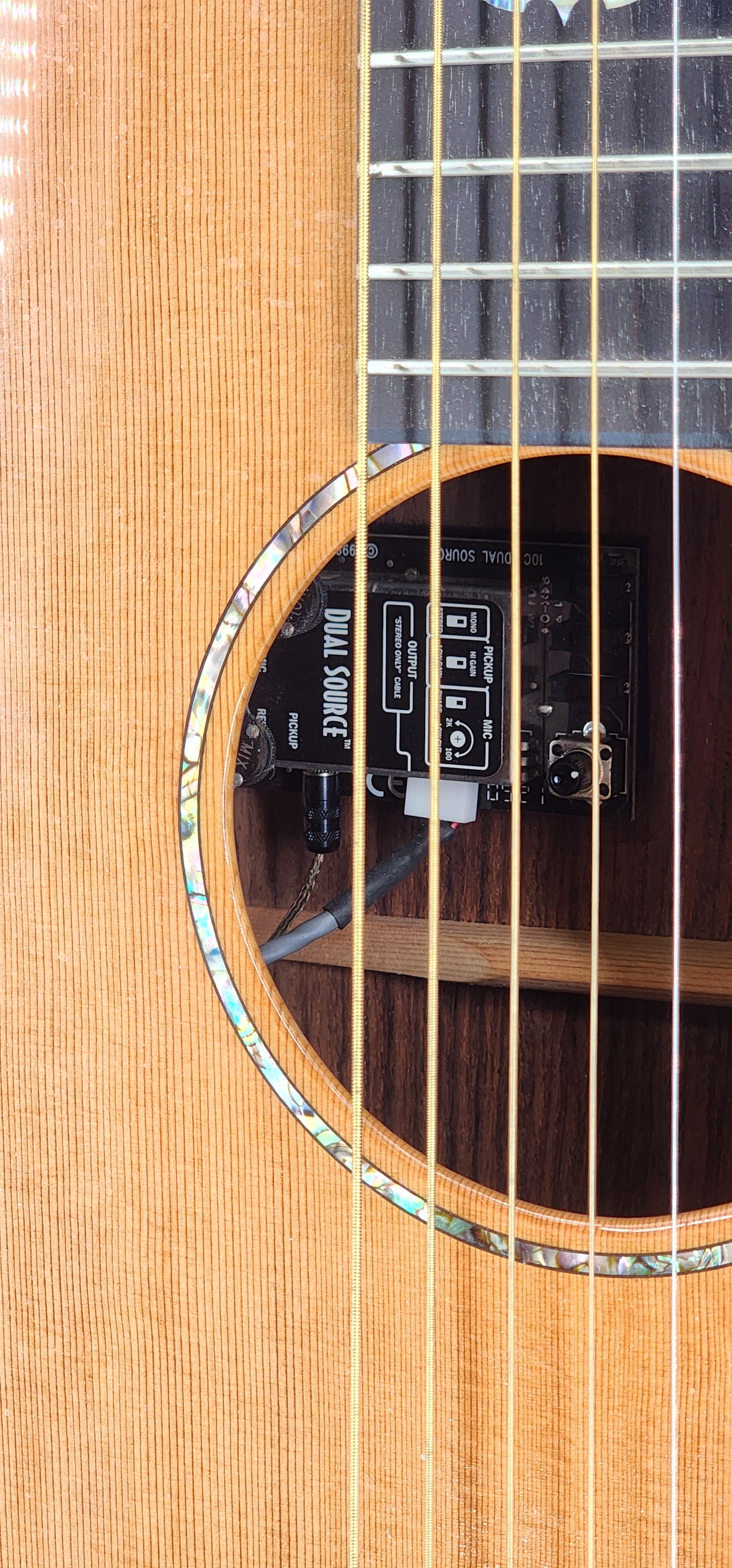 Breedlove - Focus Performance - 2005 - Indian Rosewood