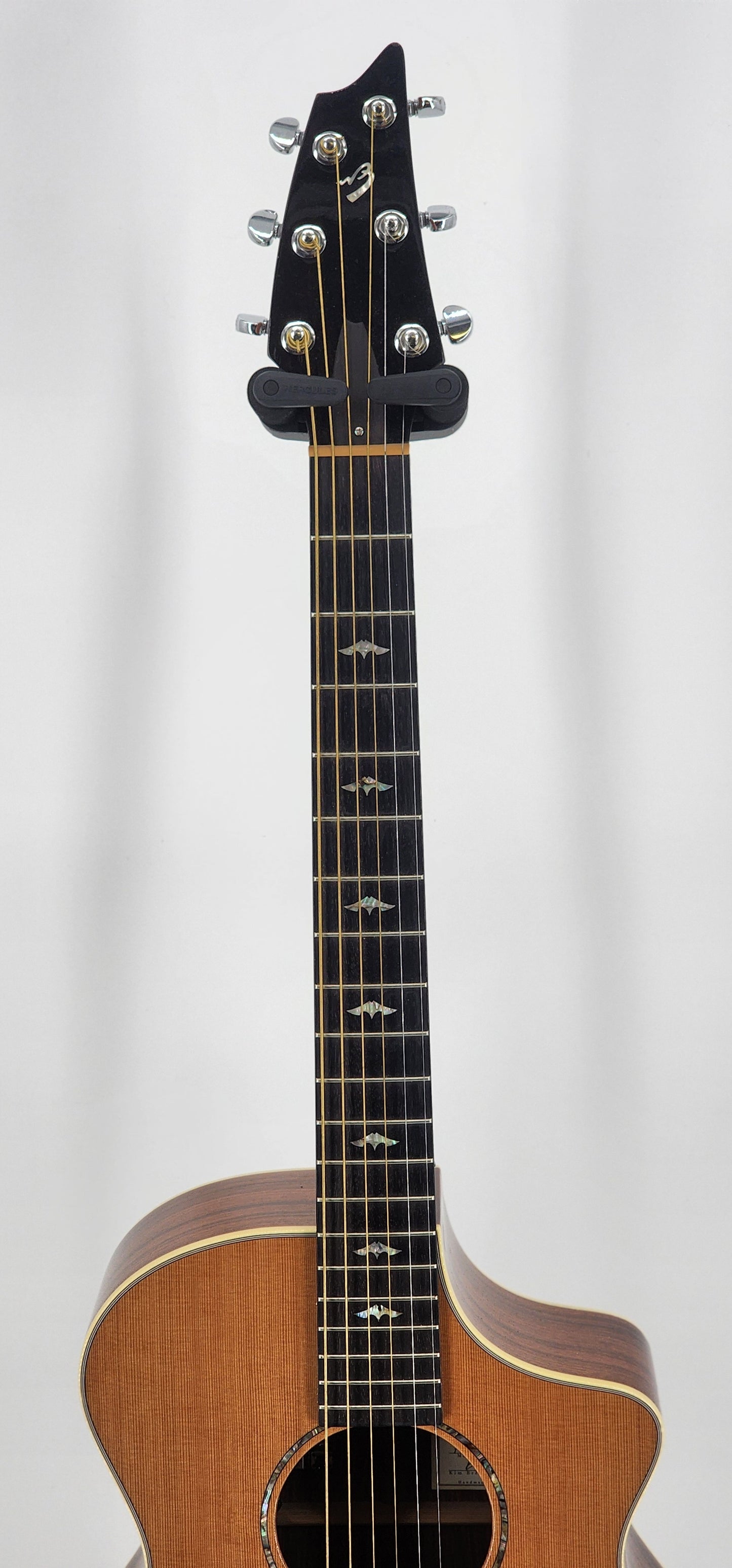 Breedlove - Focus Performance - 2005 - Indian Rosewood