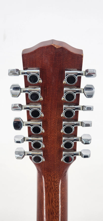 Fender - 12 string acoustic -  DG-10/12 NS - Natural