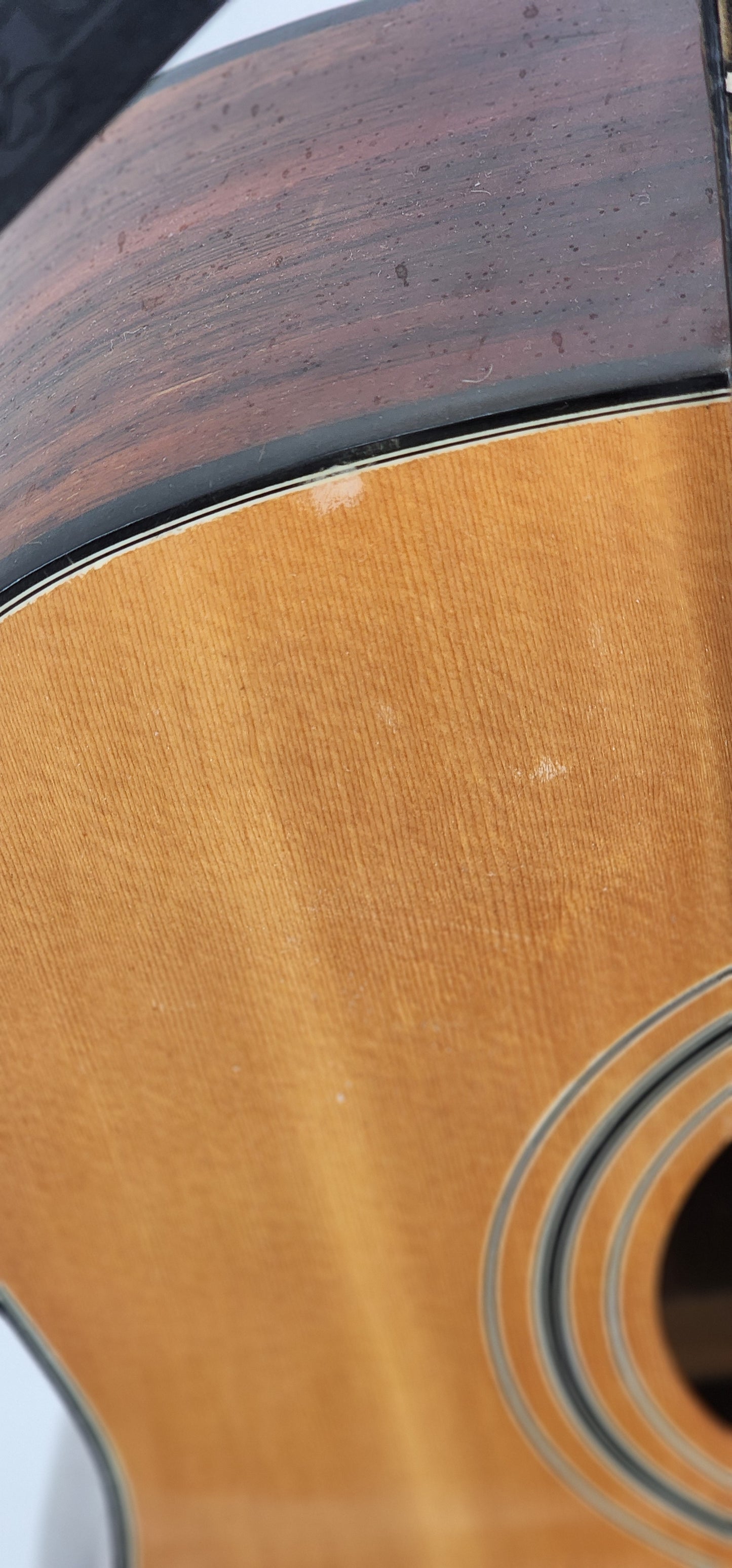 Hondo 2 - 12 String - Natural