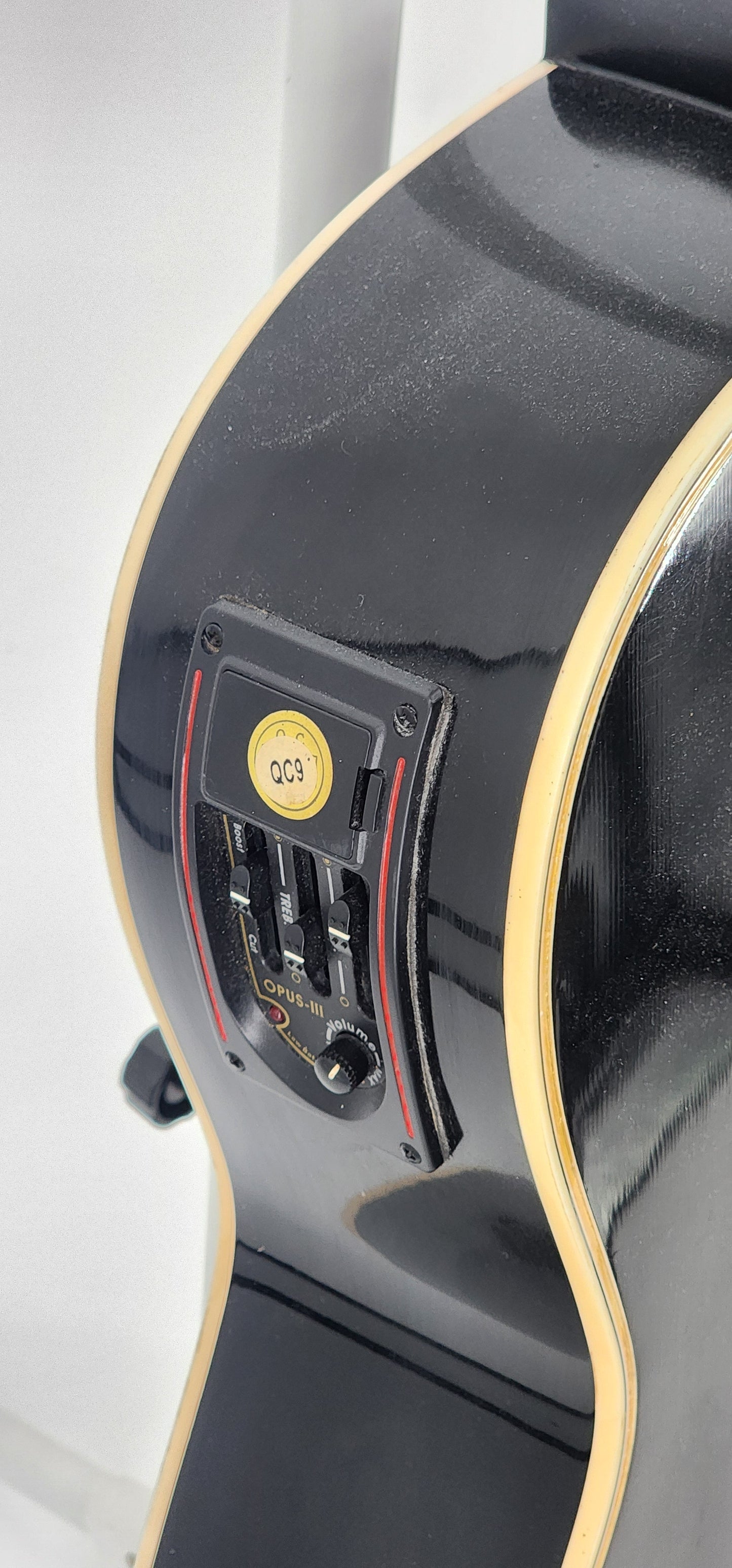 Esteban - 7th anniversary classical guitar - Black and Roses