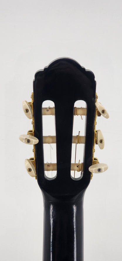 Esteban - 7th anniversary classical guitar - Black and Roses