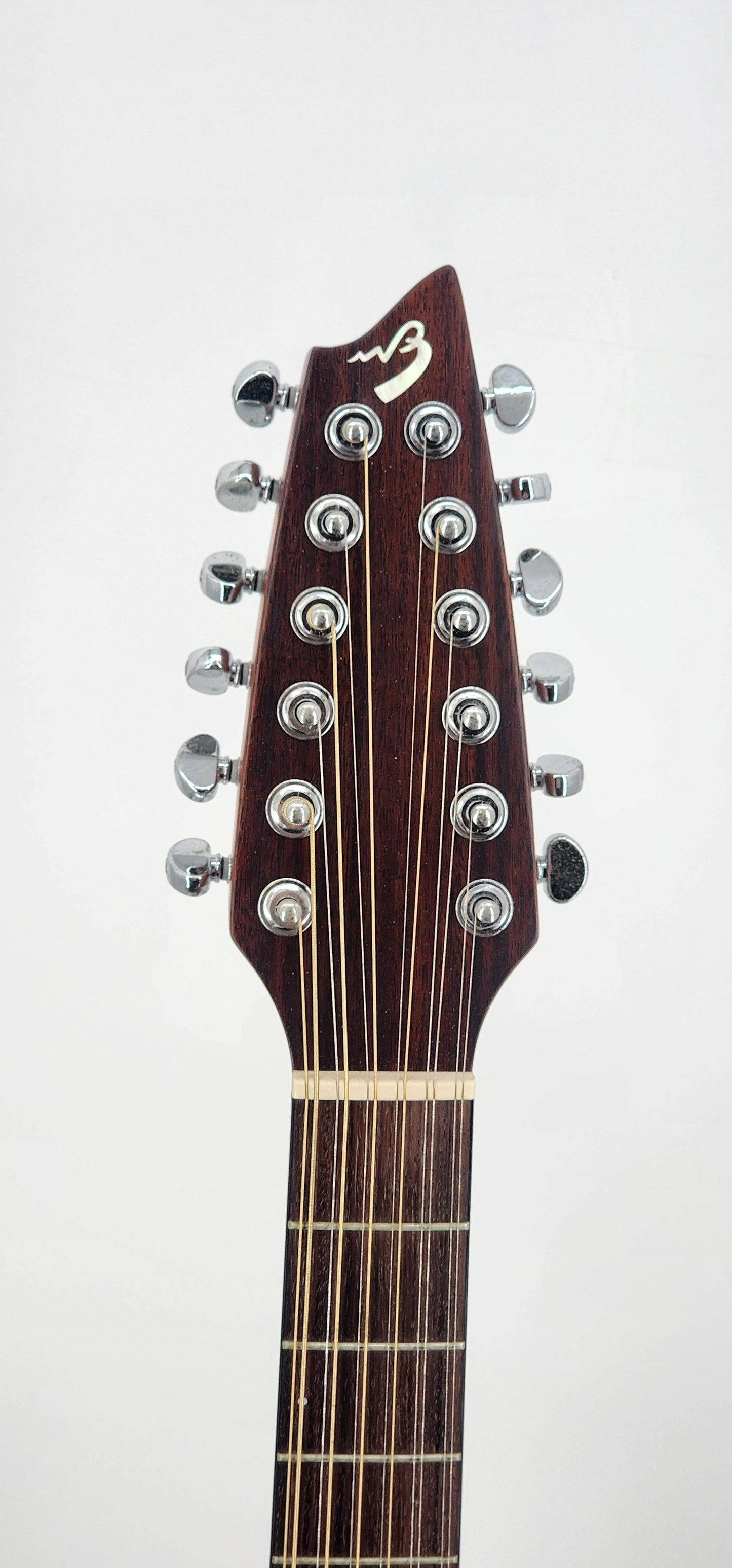 Breedlove - 12 String Acoustic - Atlas AC-250 - 2005