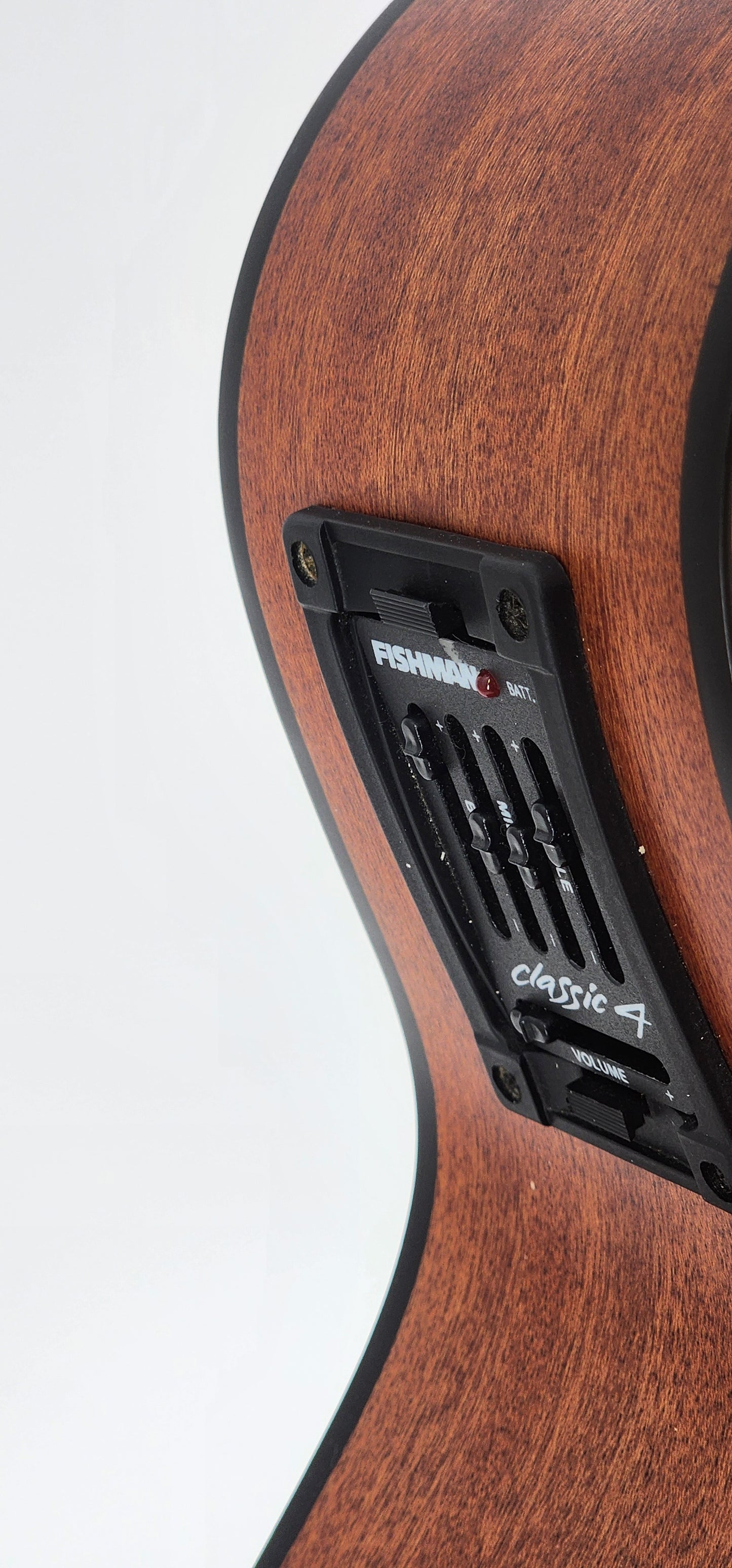 Breedlove - 12 String Acoustic - Atlas AC-250 - 2005