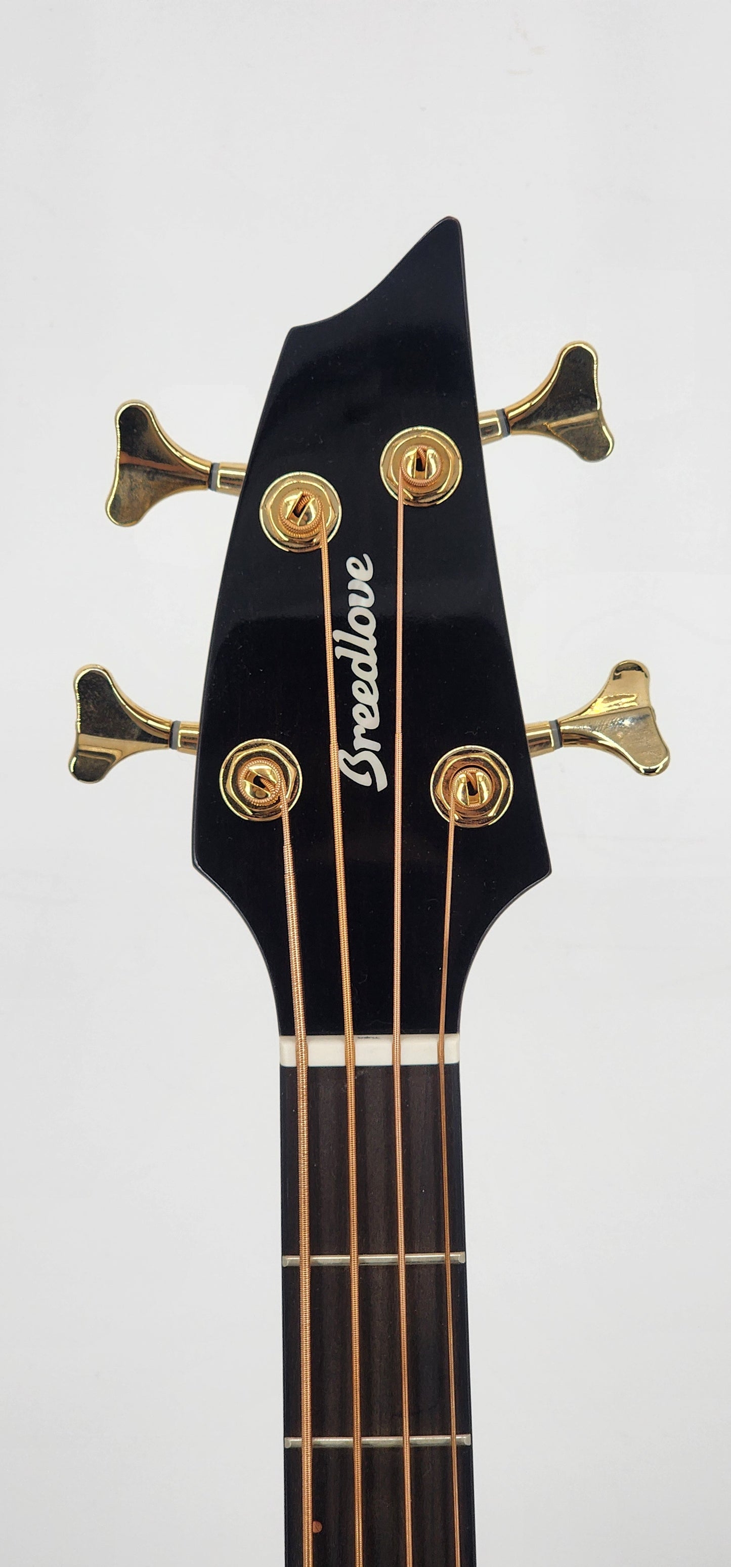 Breedlove - Solomon Pro - Conerto Bass CE - Acoustic Bass Guitar -2022