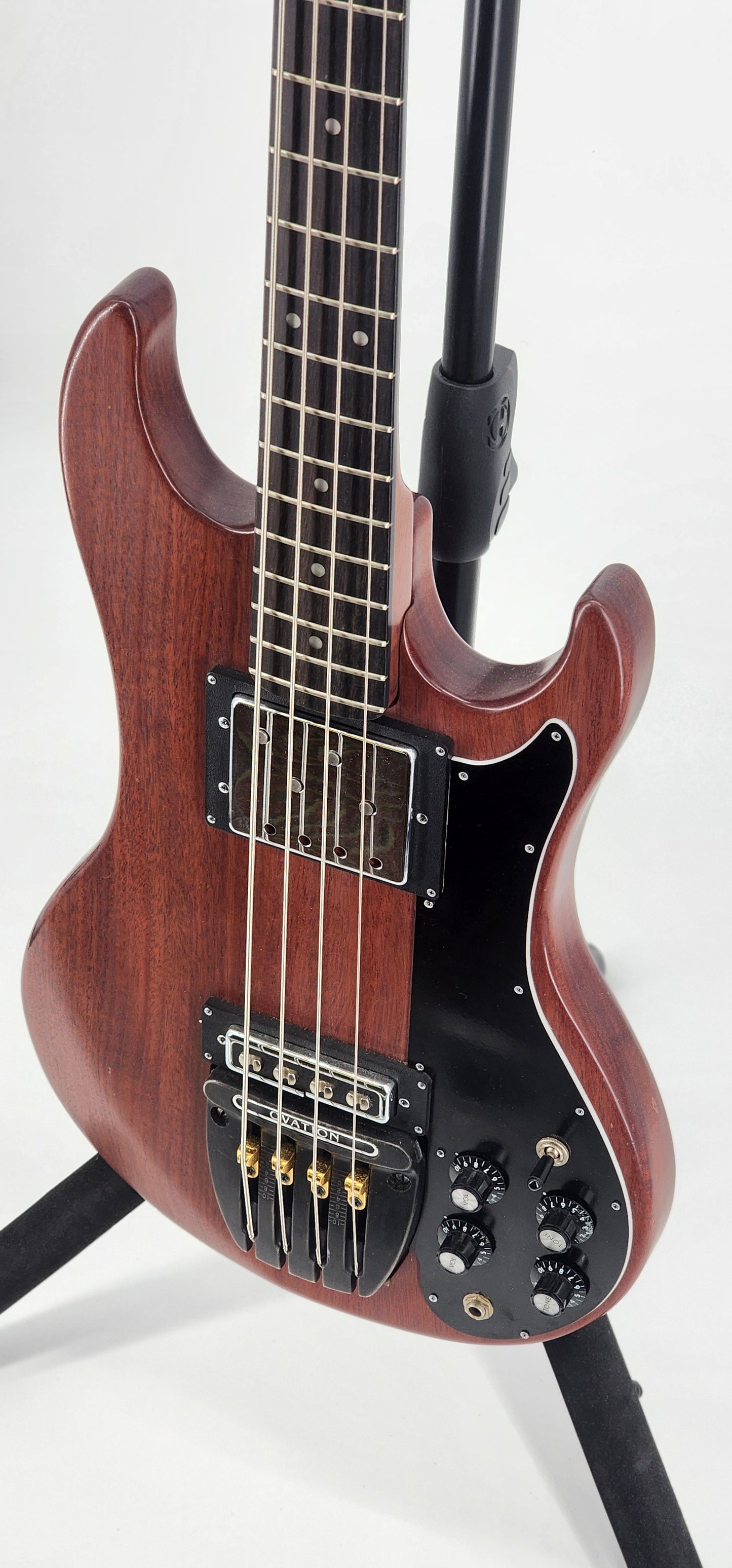 Ovation - Magnum III Bass  - 1980 - Natural
