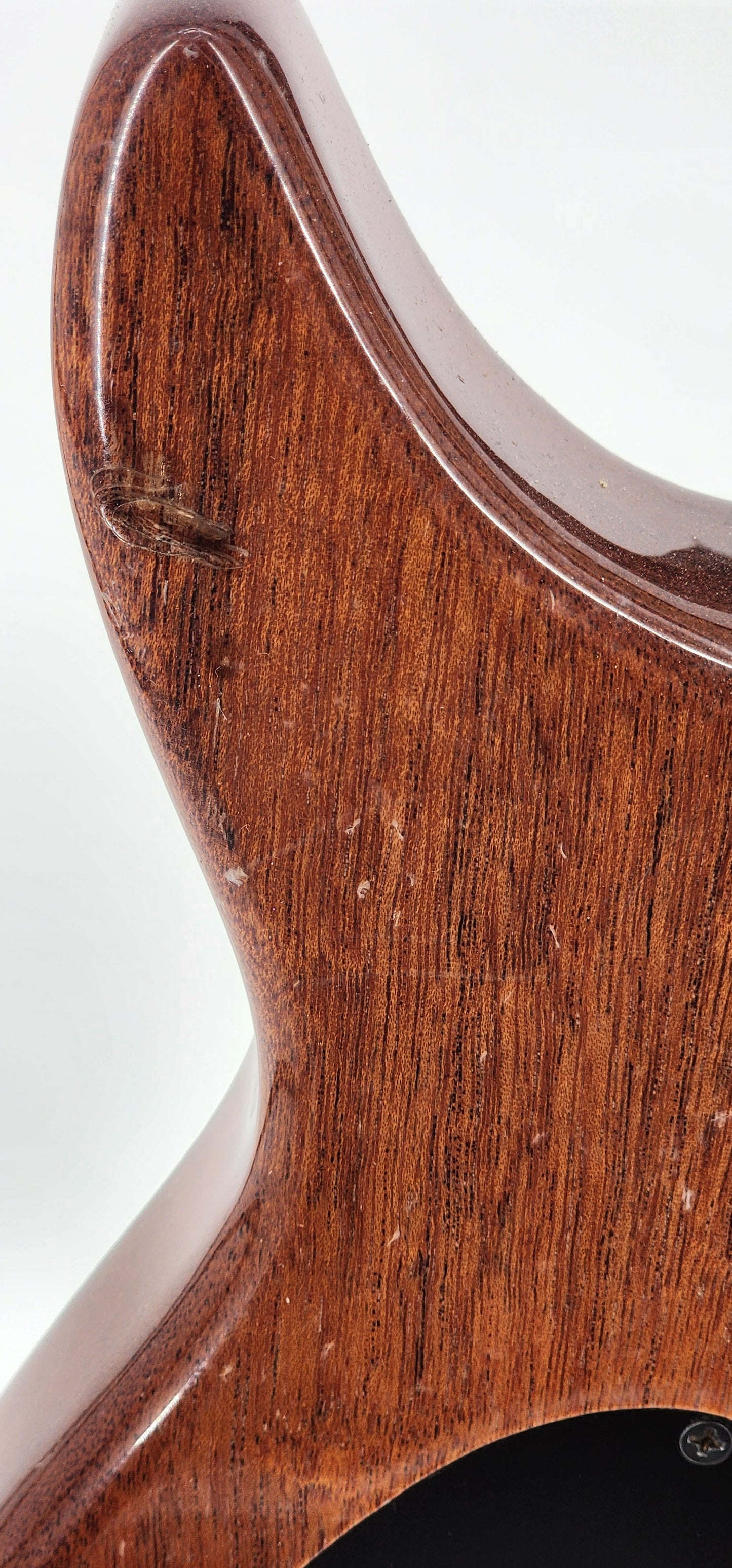 Carvin - Bunny Brunel 5-string bass - BB75 - Natural Mahogany