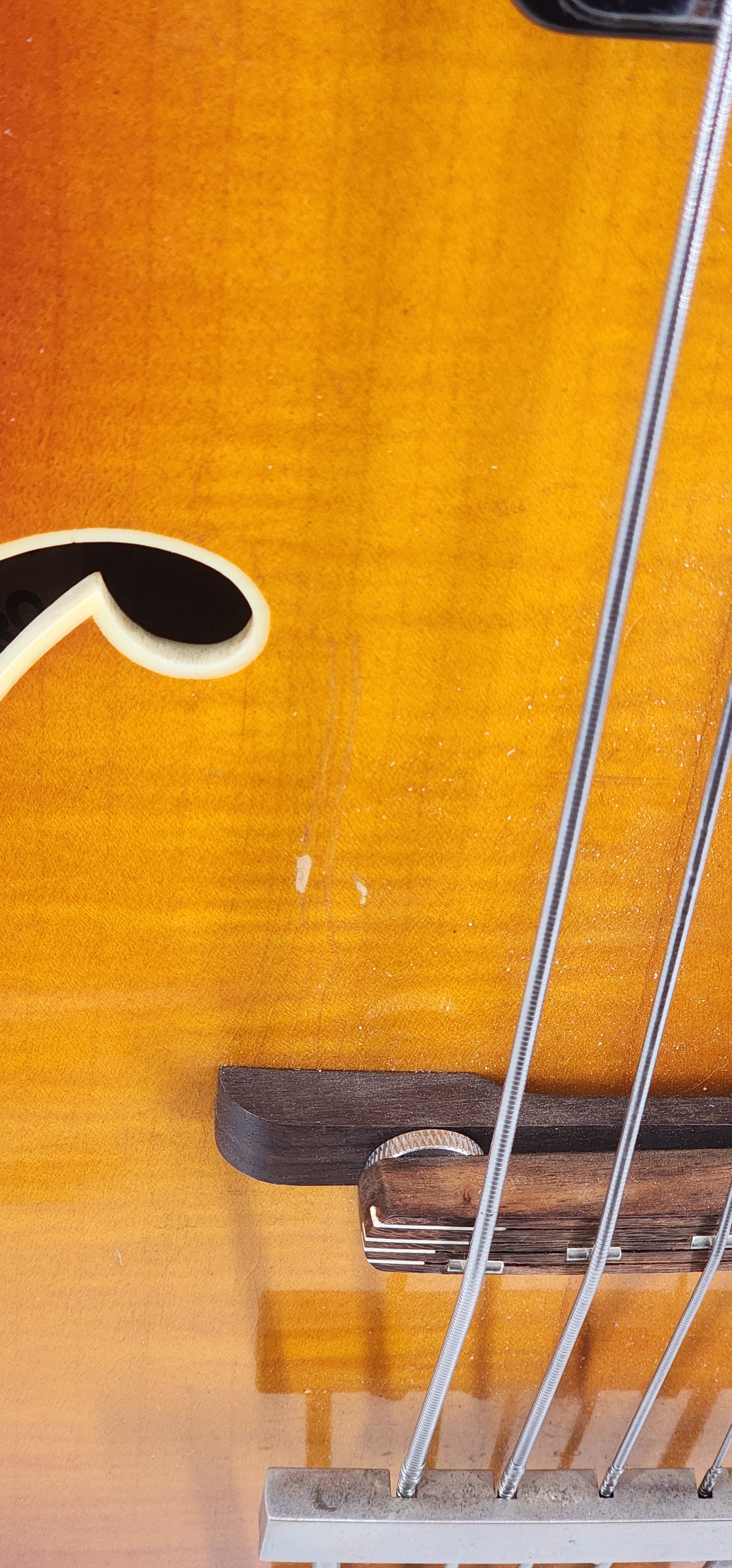 Hofner - Senator - 1964 - Sunburst