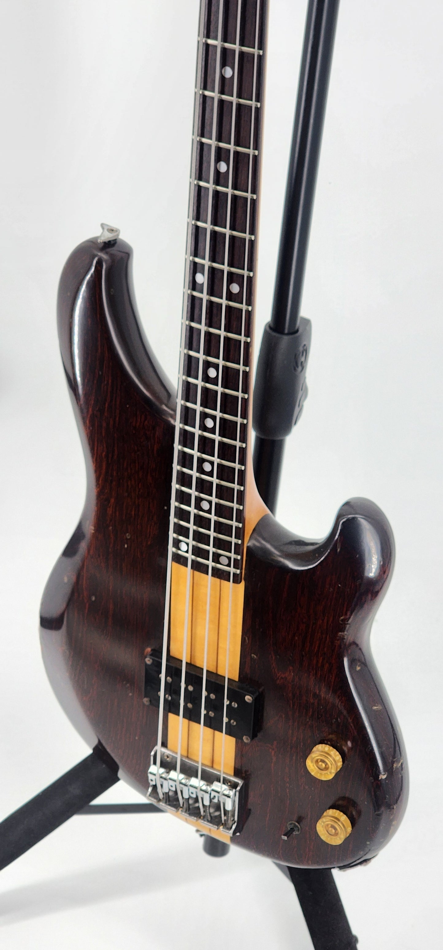 Ibanez - MC800 Passive - 1983 - Dark Walnut