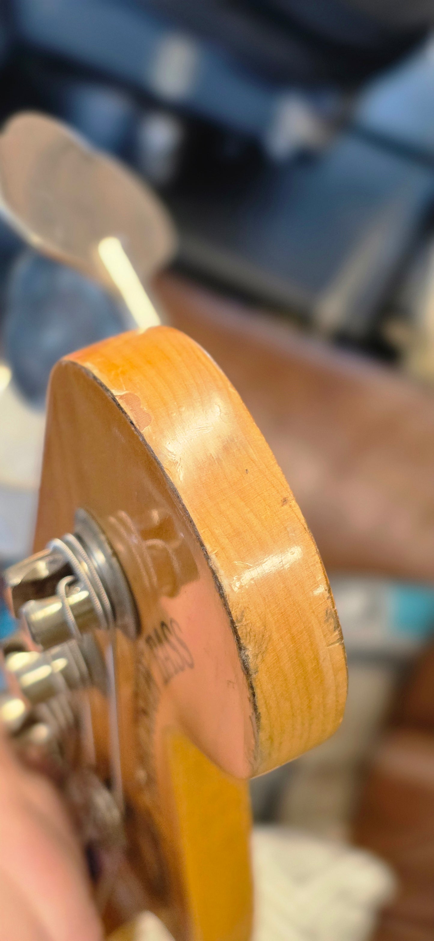 Fender - Precision Bass - 1973 - Natural