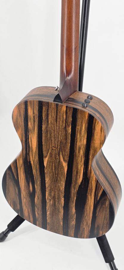 Taylor - AD12E - Ebony Black Top