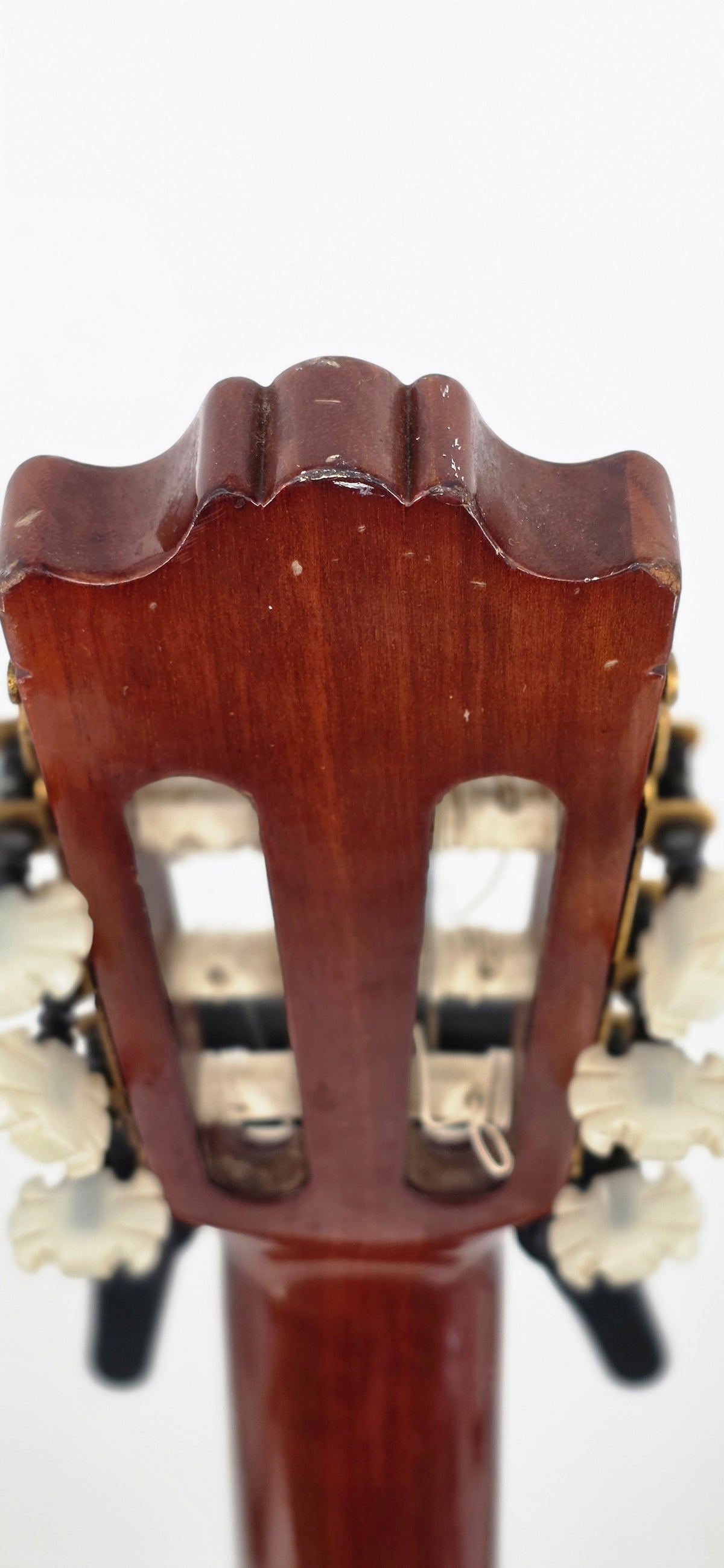 Yamaha -Classical Guitar - G-250S - 1979-81