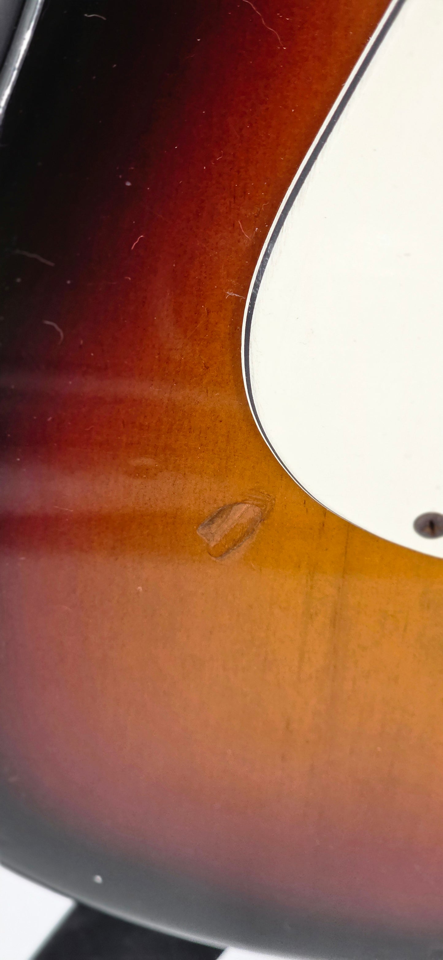 Fender - Bullet H2 - 1981/1982 - 3 color Sunburst