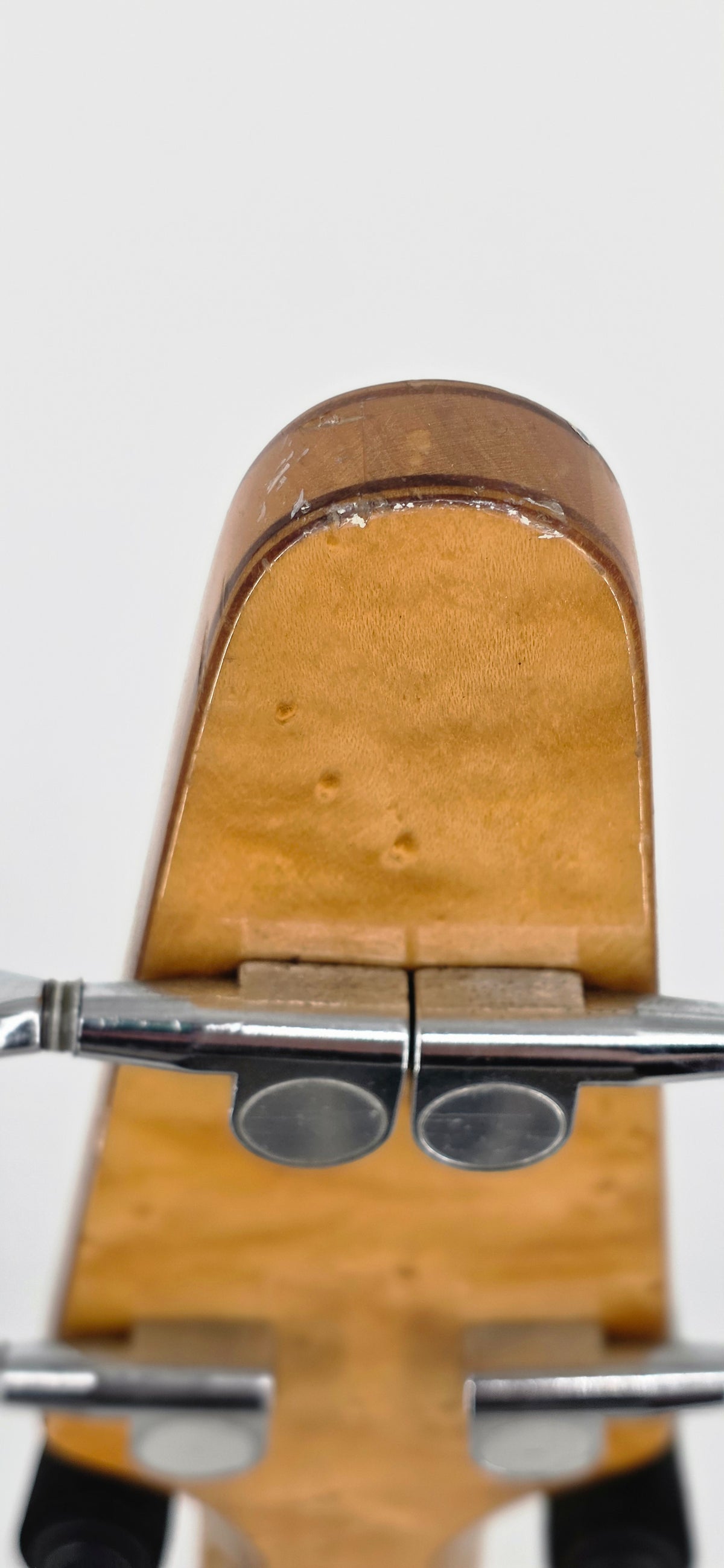 Alembic - Spoiler - 1987 - Birdseye Maple Top