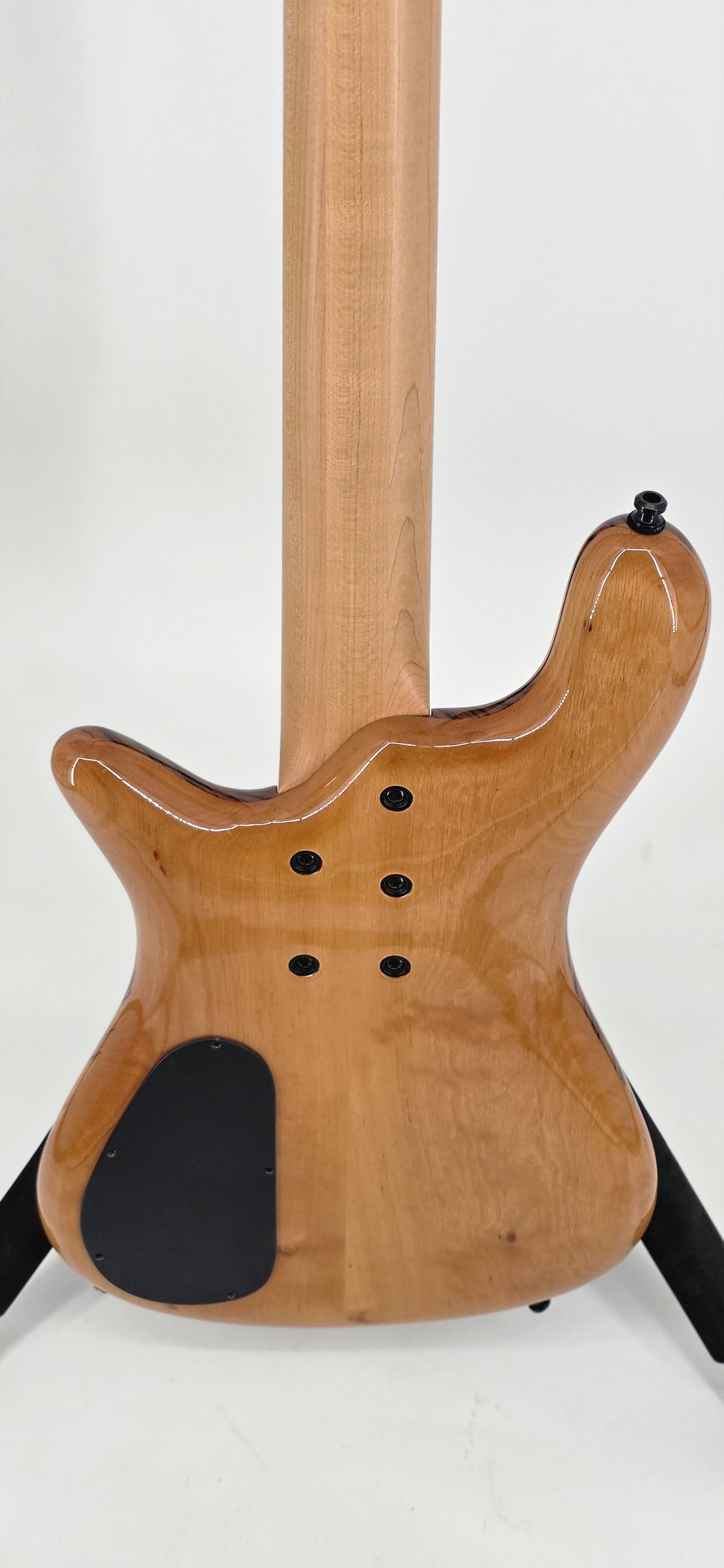 Spector - Eurobolt - 2018 - Zebrawood