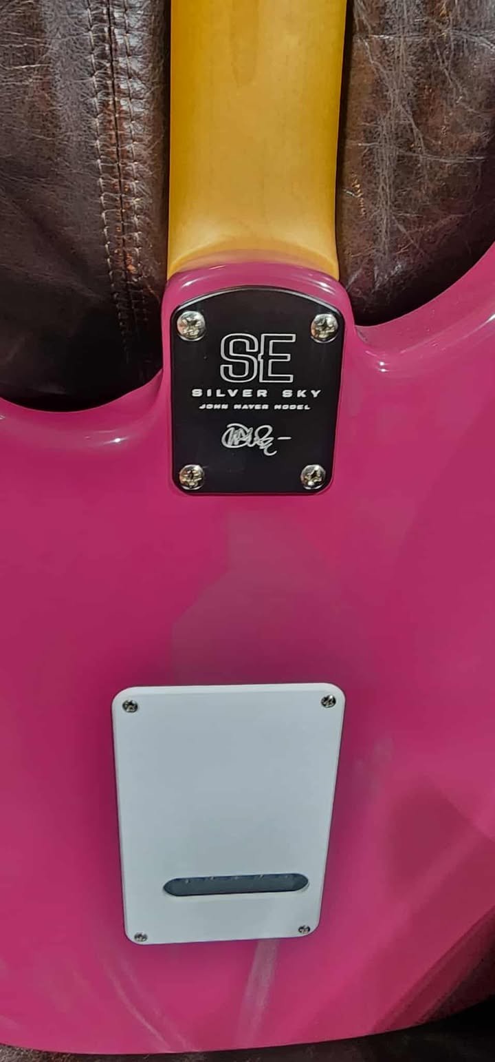 Paul Reed Smith SE Silver Sky Dragon Fruit