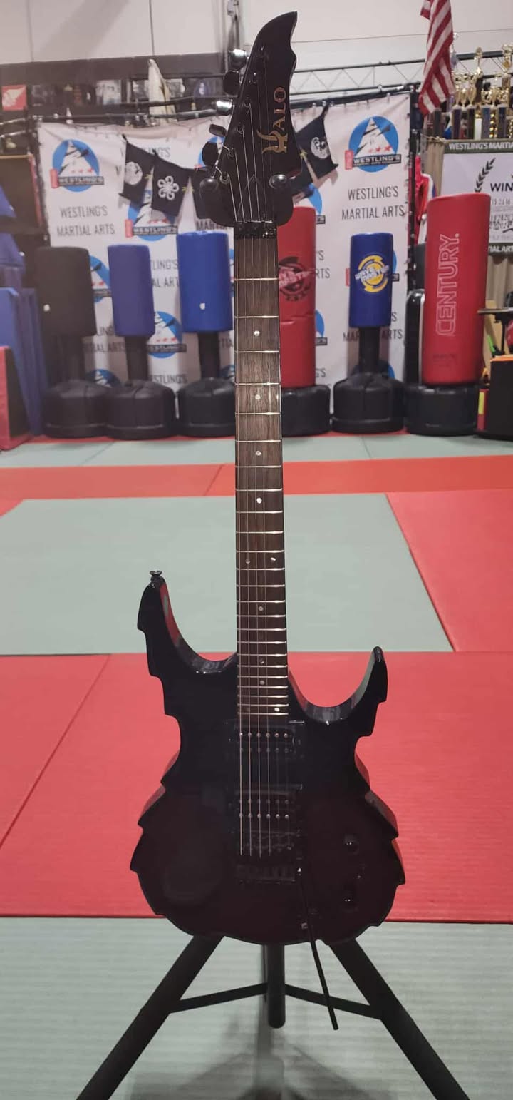 Halo Custom Guitar-Reaper