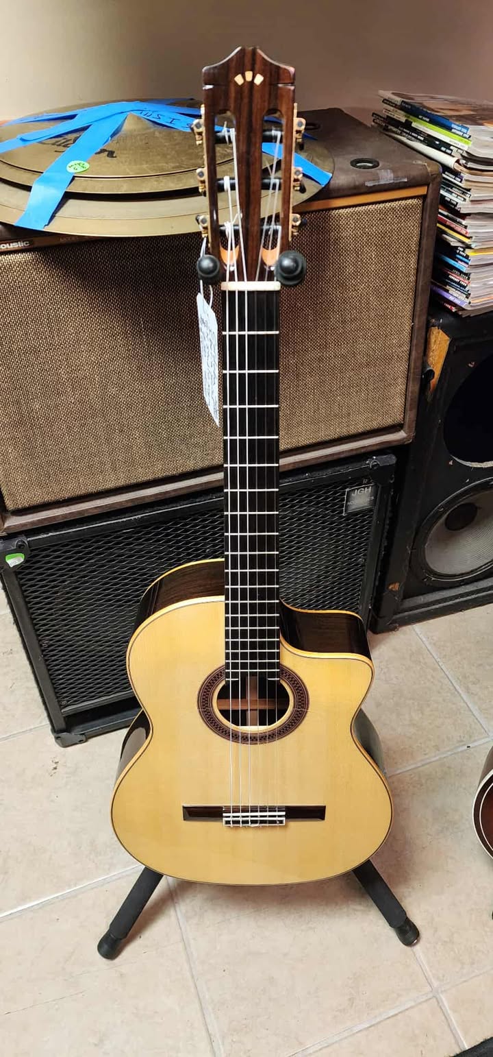 Cordoba GK Studio Nerga Acoustic Electric Nylon Guitar