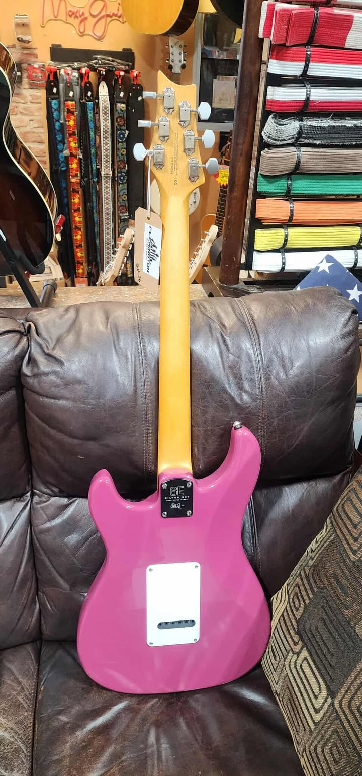 Paul Reed Smith SE Silver Sky Dragon Fruit