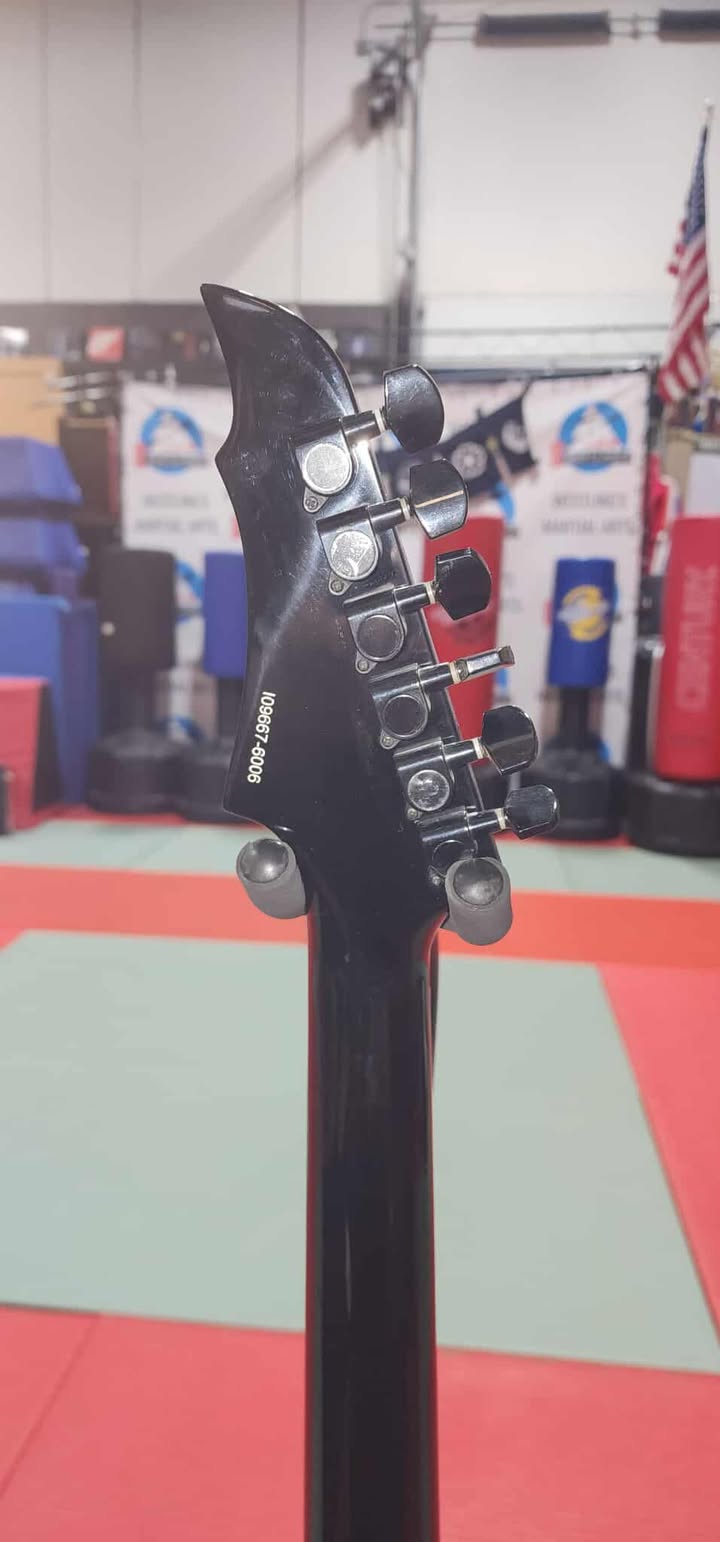 Halo Custom Guitar-Reaper