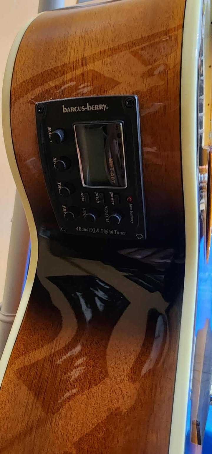 Washburn Acoustic-Electric Guitar EA15 Festival Series Sunburst (NEW)