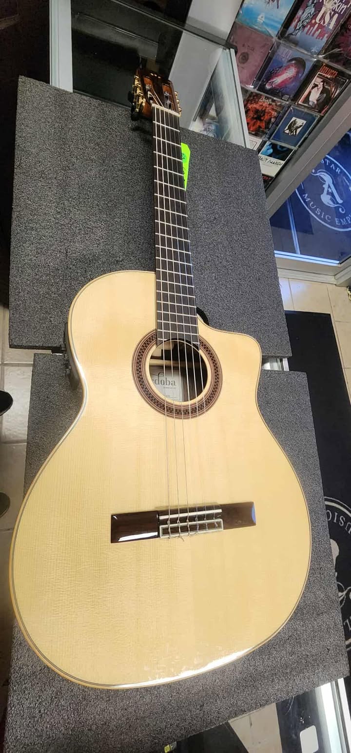 Cordoba GK Studio Nerga Acoustic Electric Nylon Guitar