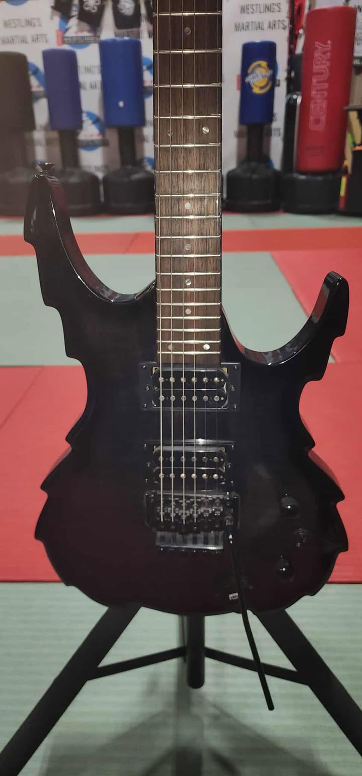 Halo Custom Guitar-Reaper