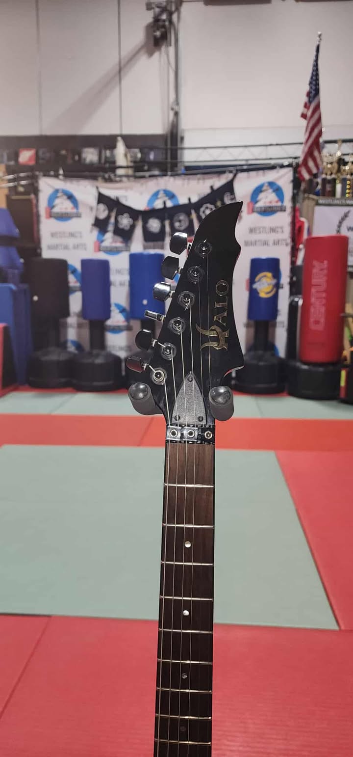 Halo Custom Guitar-Reaper