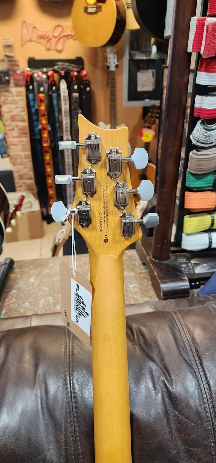 Paul Reed Smith SE Silver Sky Dragon Fruit