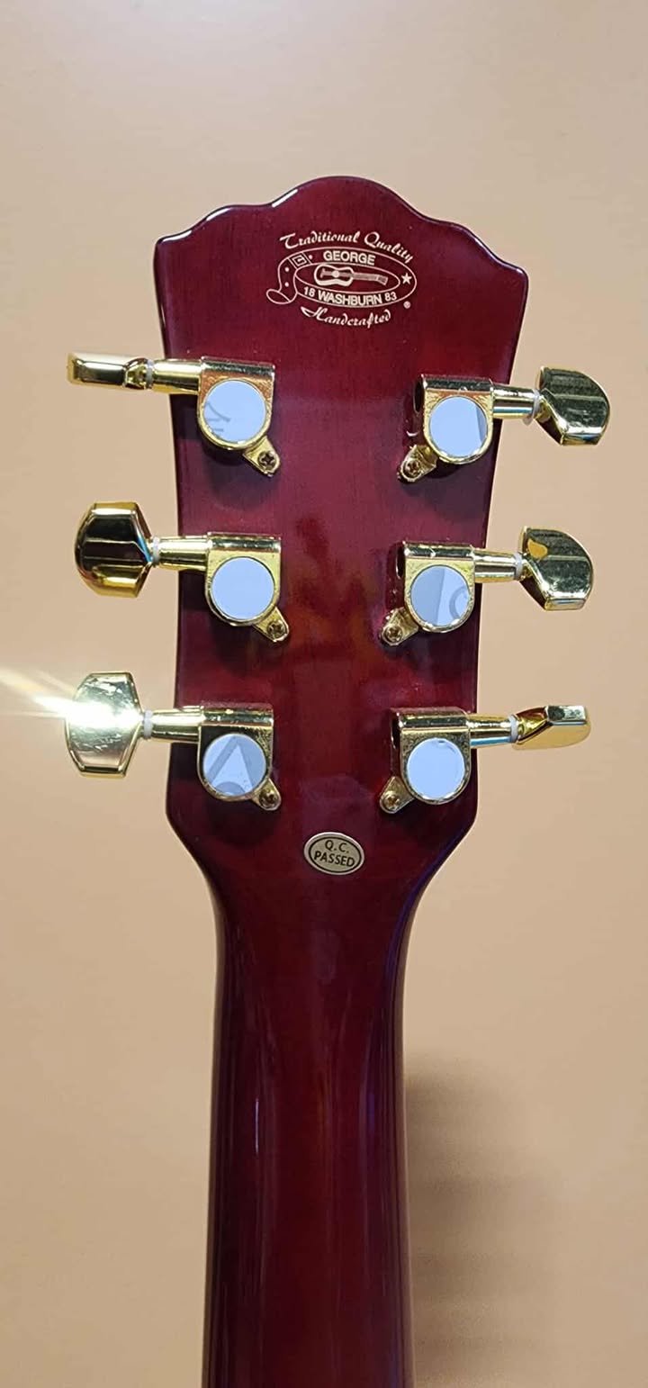 Washburn Acoustic Guitar WD100DL Dreadnought Mahogany (NEW)