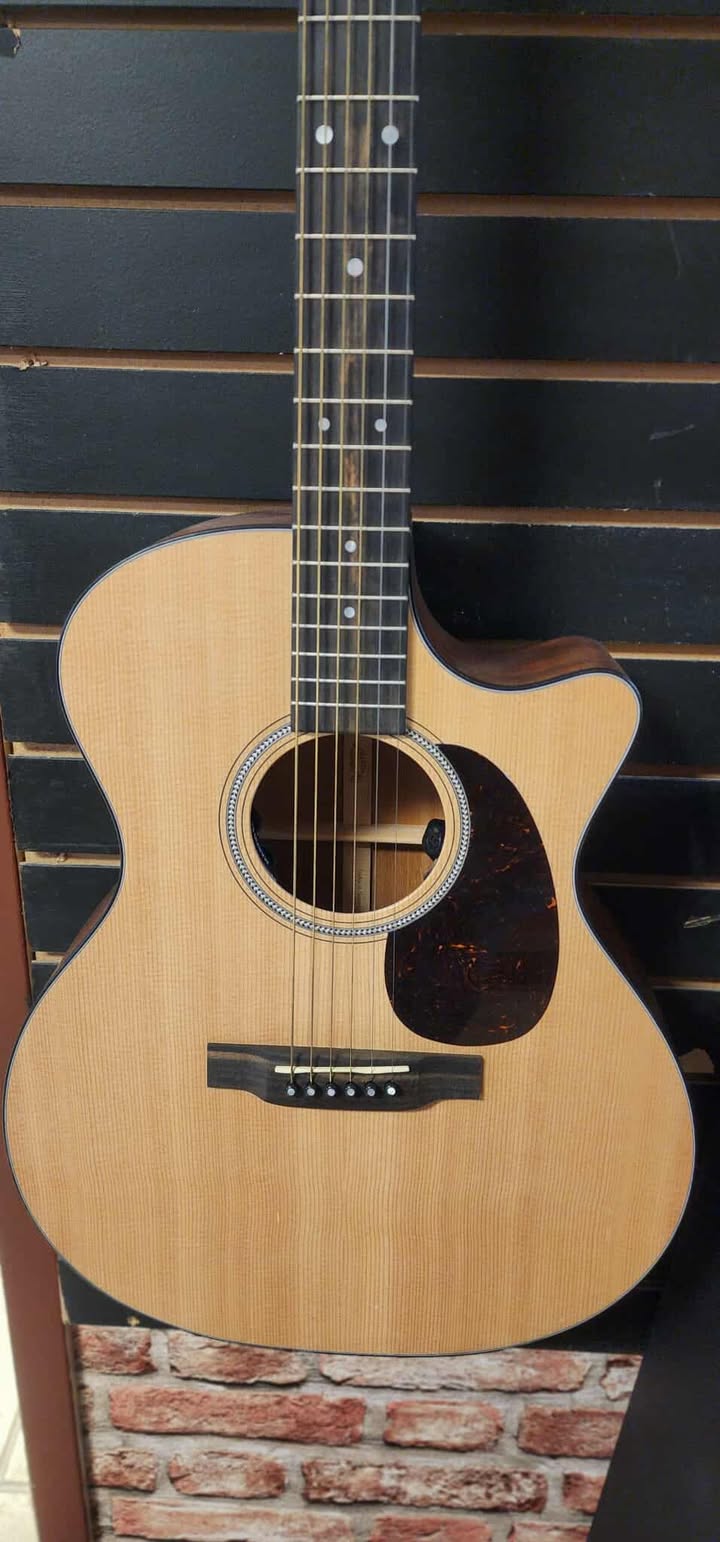 Martin & CO - 16 Series Acoustic Electric - GPC-16E - Mahogany