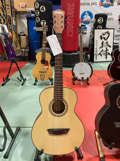 Washburn Acoustic Guitar