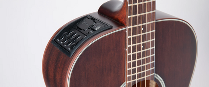 Takamine - G20 Series - GY21E SM - Satin Molasses (NEW)